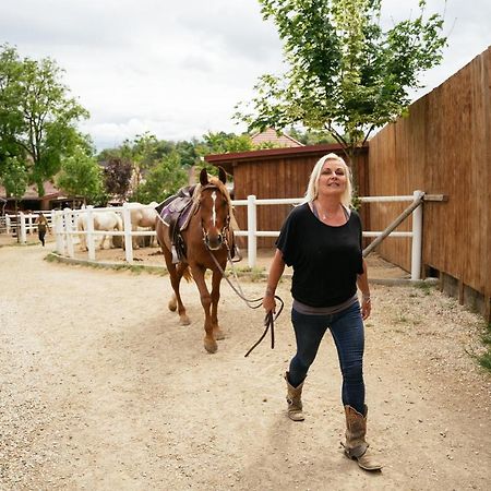 Deutsch Haslau Ranchzimmer Am Hippo-Campus Reit- Und Therapiezentrum المظهر الخارجي الصورة