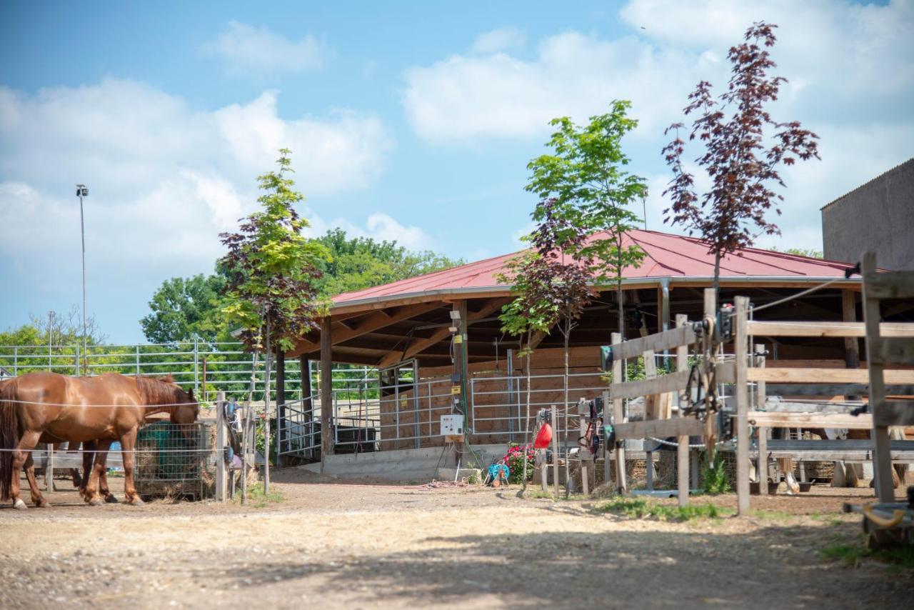 Deutsch Haslau Ranchzimmer Am Hippo-Campus Reit- Und Therapiezentrum المظهر الخارجي الصورة