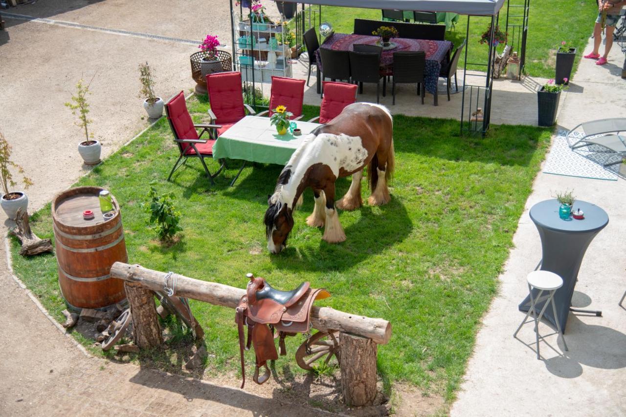 Deutsch Haslau Ranchzimmer Am Hippo-Campus Reit- Und Therapiezentrum المظهر الخارجي الصورة